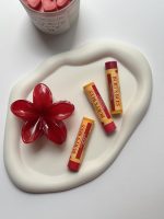 بام لب تغذیه و ترمیم کننده برتز بیز - تصویر 3