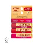 بام لب تغذیه و ترمیم کننده برتز بیز